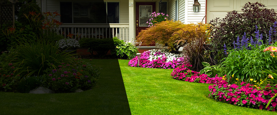 Carthage Landscapers